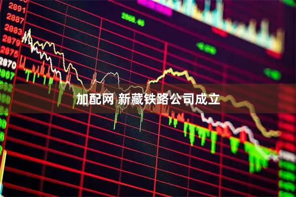 加配网 新藏铁路公司成立