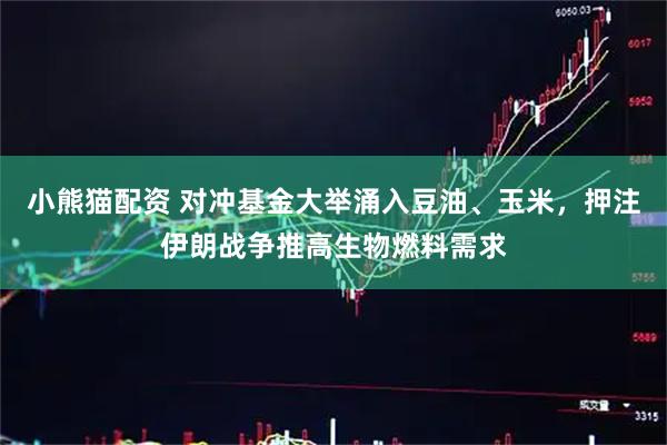 小熊猫配资 对冲基金大举涌入豆油、玉米，押注伊朗战争推高生物燃料需求